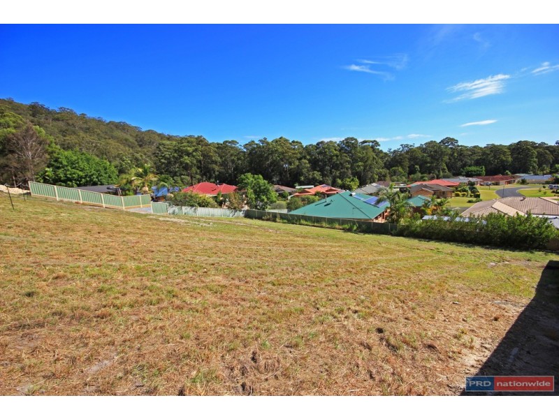 4 Candlebark Court, Lakewood NSW 2443