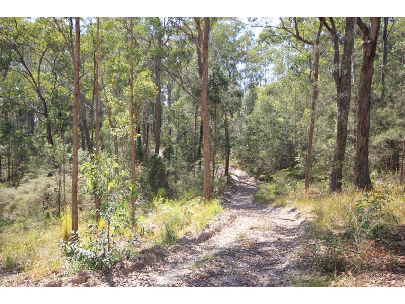 Kew NSW 2439
