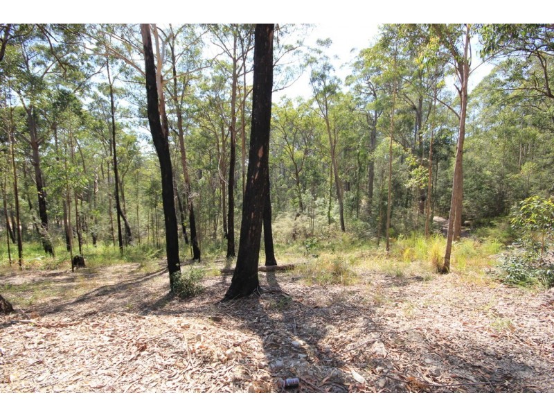 Kew NSW 2439