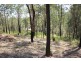 Kew NSW 2439