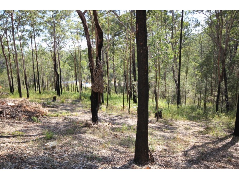 Kew NSW 2439