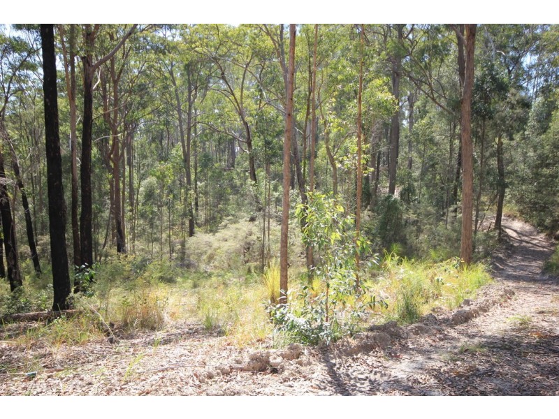 Kew NSW 2439