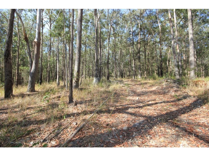 Kew NSW 2439
