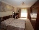 Kew NSW 2439