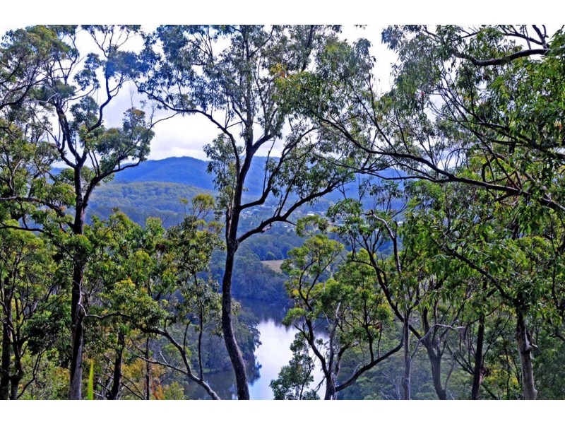 Lot 2 Grass Tree Way, Rossglen NSW 2439