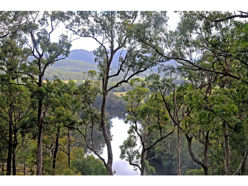 Lot 2 Grass Tree Way, Rossglen NSW 2439