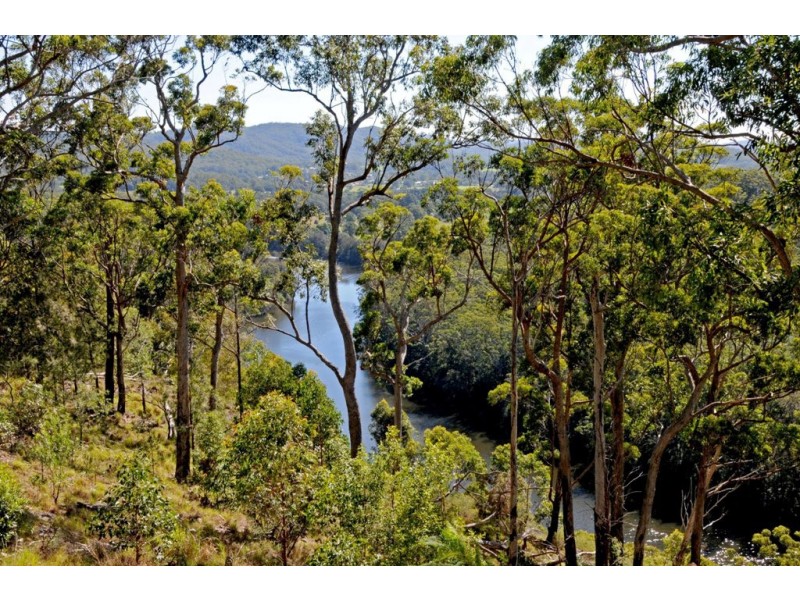 Lot 2 Grass Tree Way, Rossglen NSW 2439