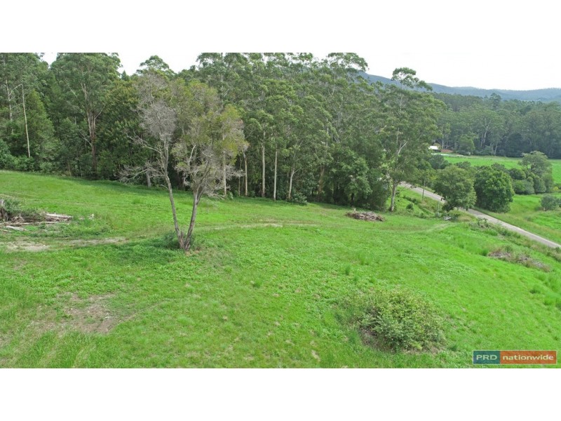 221 Waitui Road, Waitui NSW 2443