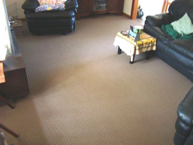 53 Norman Street, Laurieton NSW 2443