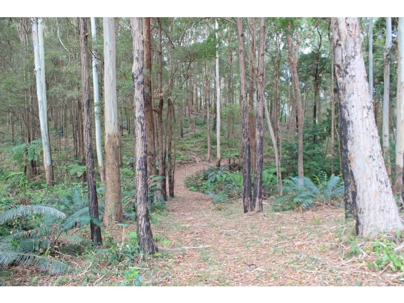 261 Riddles Brush Road, Johns River NSW 2443