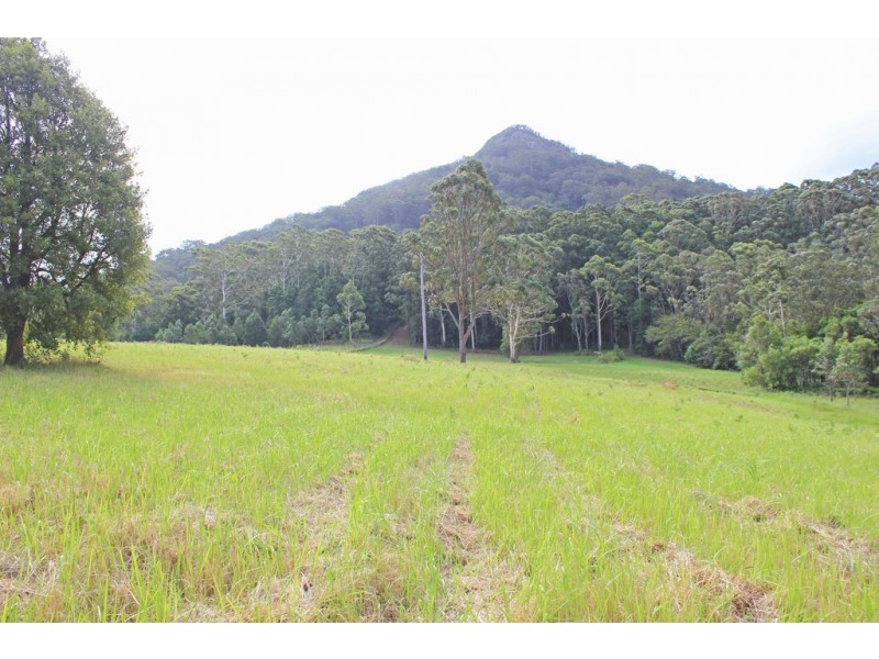 261 Riddles Brush Road, Johns River NSW 2443