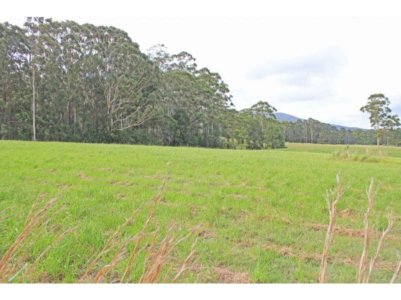 261 Riddles Brush Road, Johns River NSW 2443