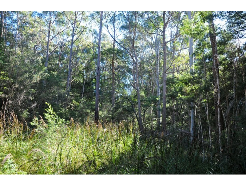 14 and 15 Pelican Road, St Georges Basin NSW 2540