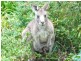 70 Warrego Drive, Sanctuary Point NSW 2540