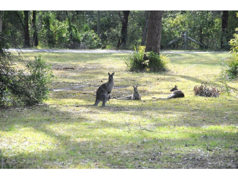 13 Vost Drive, Sanctuary Point NSW 2540