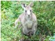 65 The Park Drive, Sanctuary Point NSW 2540