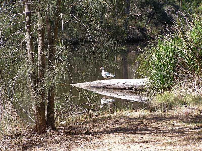 279 The Park Dr, Sanctuary Point NSW 2540