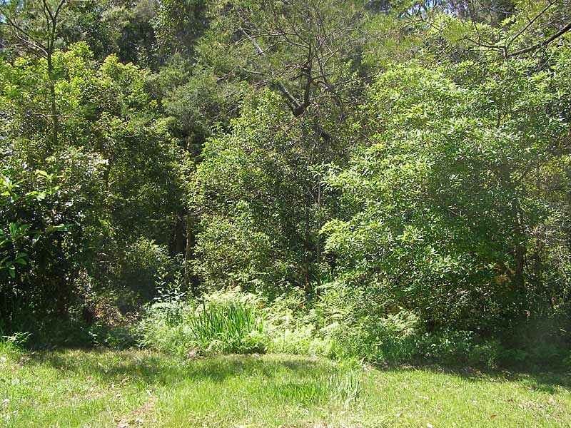 Lot 216-222 Goodlands Rd, Woollamia NSW 2540