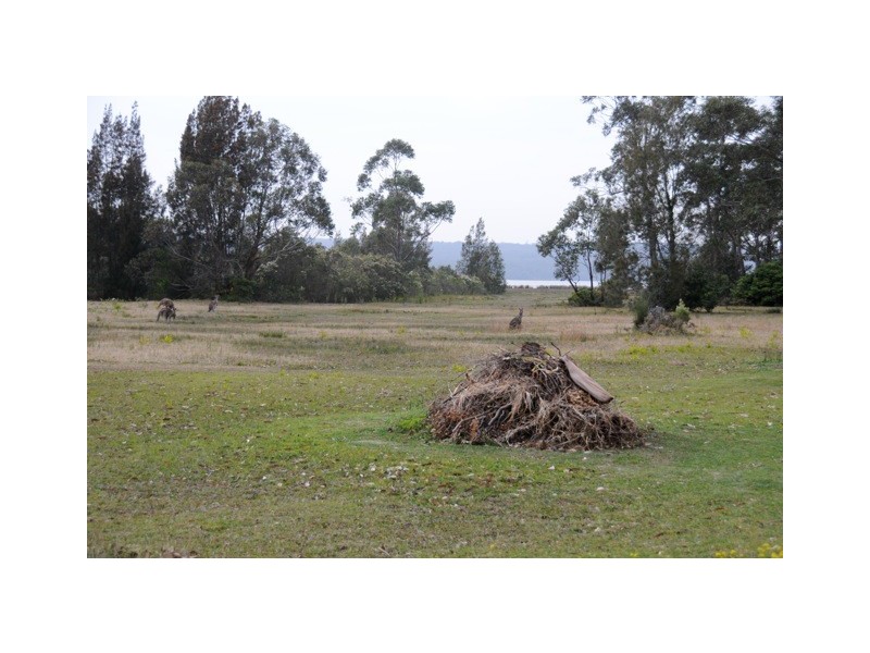 52 Sanctuary Point Rd, Sanctuary Point NSW 2540