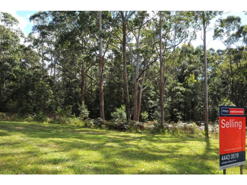 Lot 11 Battunga Drive, Tomerong NSW 2540