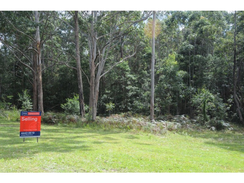 Lot 11 Battunga Drive, Tomerong NSW 2540