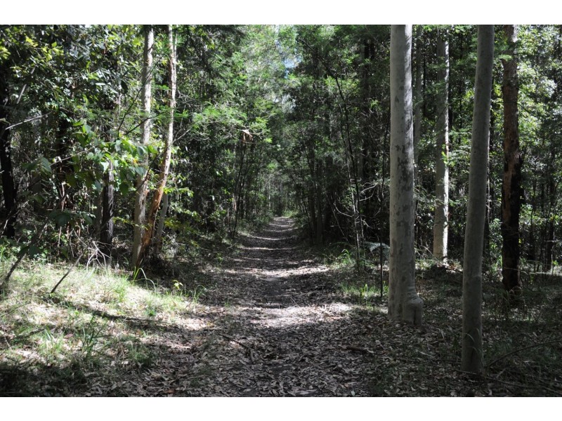 Lot 11 Battunga Drive, Tomerong NSW 2540