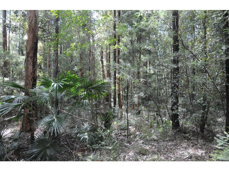 Lot 11 Battunga Drive, Tomerong NSW 2540