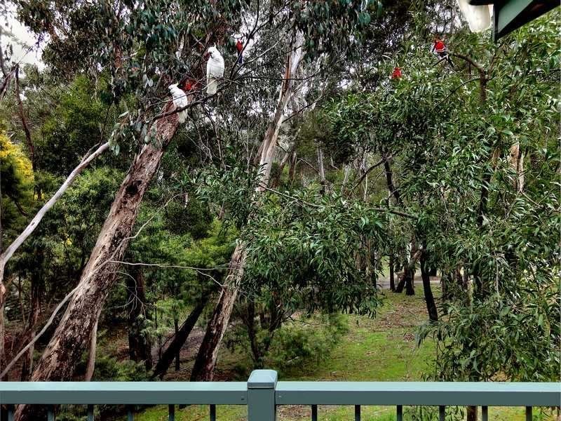 46 High Road, Halls Gap VIC 3381