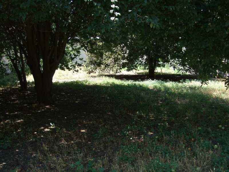 83 High Street, Elmhurst VIC 3469