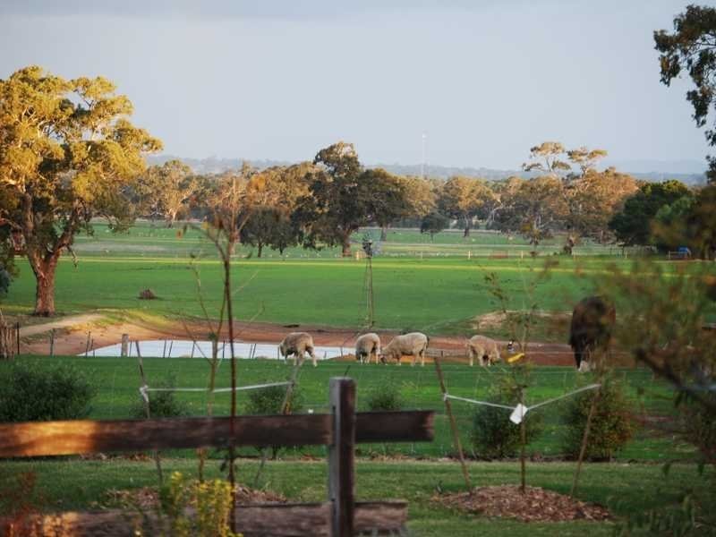 346 Five Ways Road, Balmoral VIC 3407