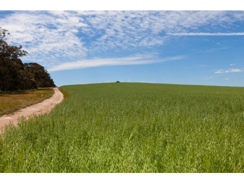 Noah’s Ark Park Road, Ararat VIC 3377