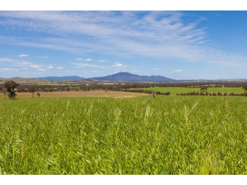 Noah’s Ark Park Road, Ararat VIC 3377