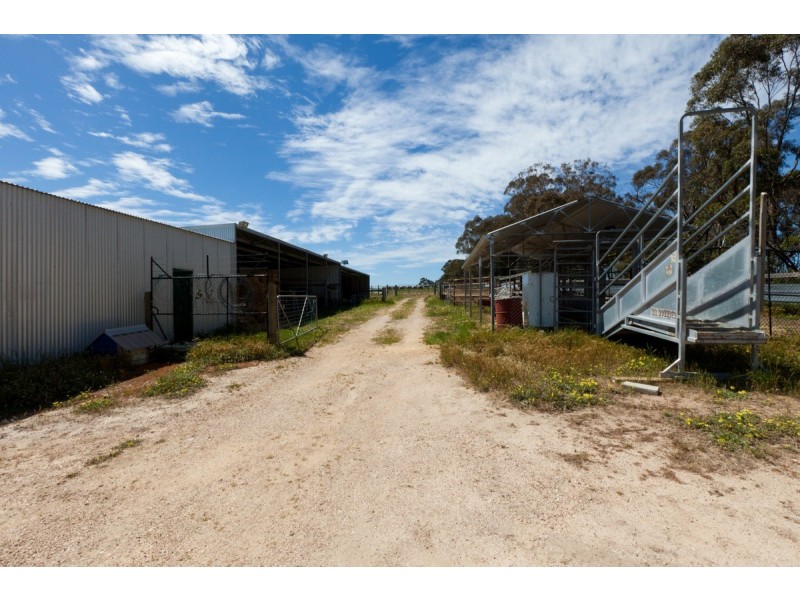 Noah’s Ark Park Road, Ararat VIC 3377