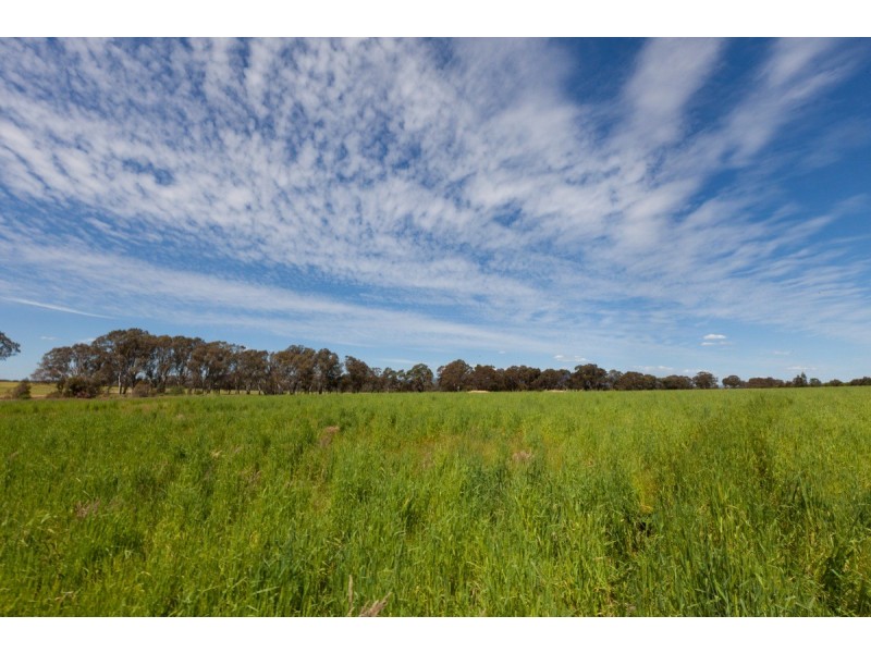 Noah’s Ark Park Road, Ararat VIC 3377