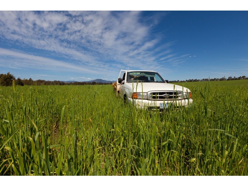 Noah’s Ark Park Road, Ararat VIC 3377