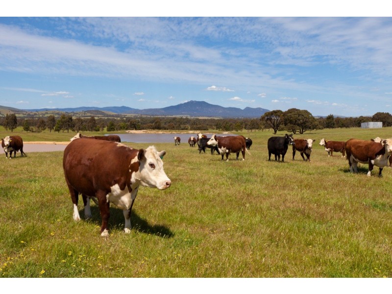 Noah’s Ark Park Road, Ararat VIC 3377