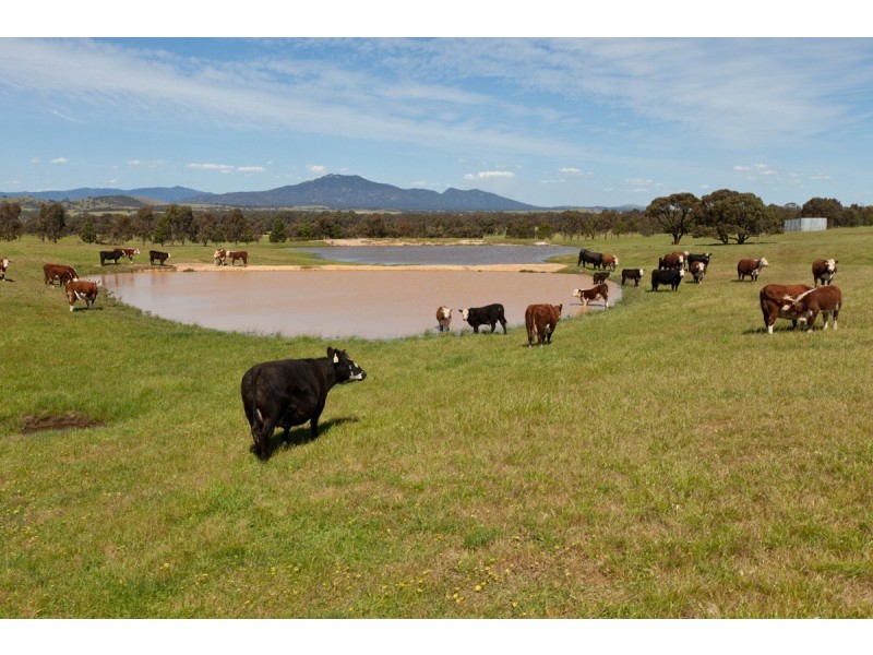 Noah’s Ark Park Road, Ararat VIC 3377