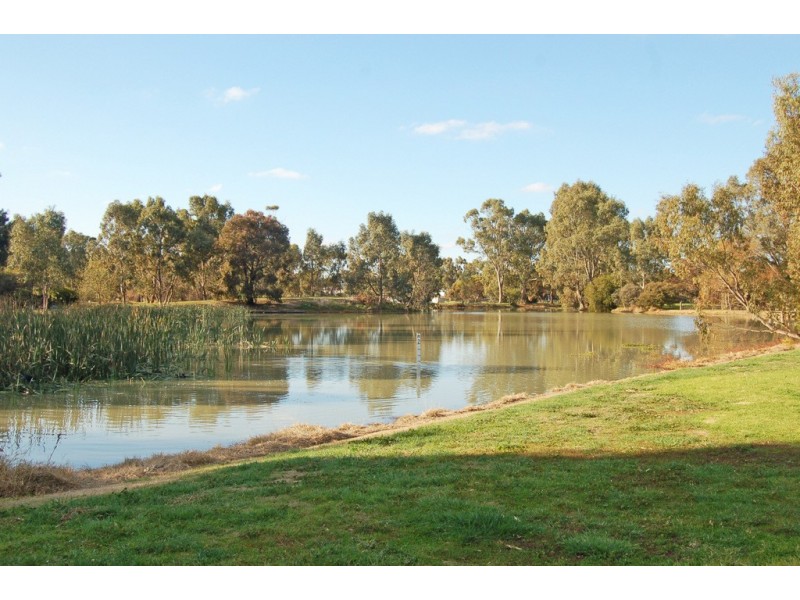 71 Duncan Street, Murtoa VIC 3390