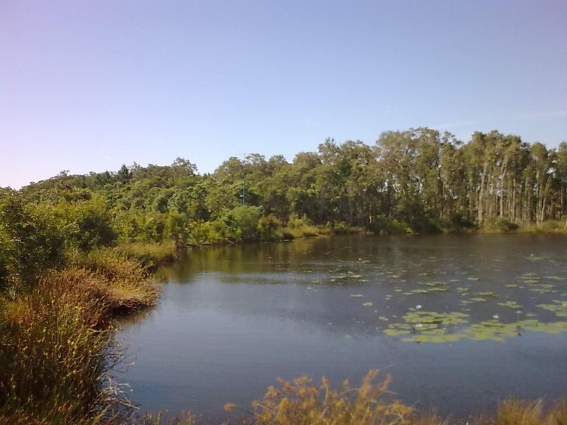 62 Ningi Waters Drive, Ningi QLD 4511