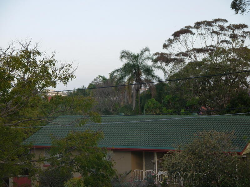 91 Pie Street, Aspley QLD 4034