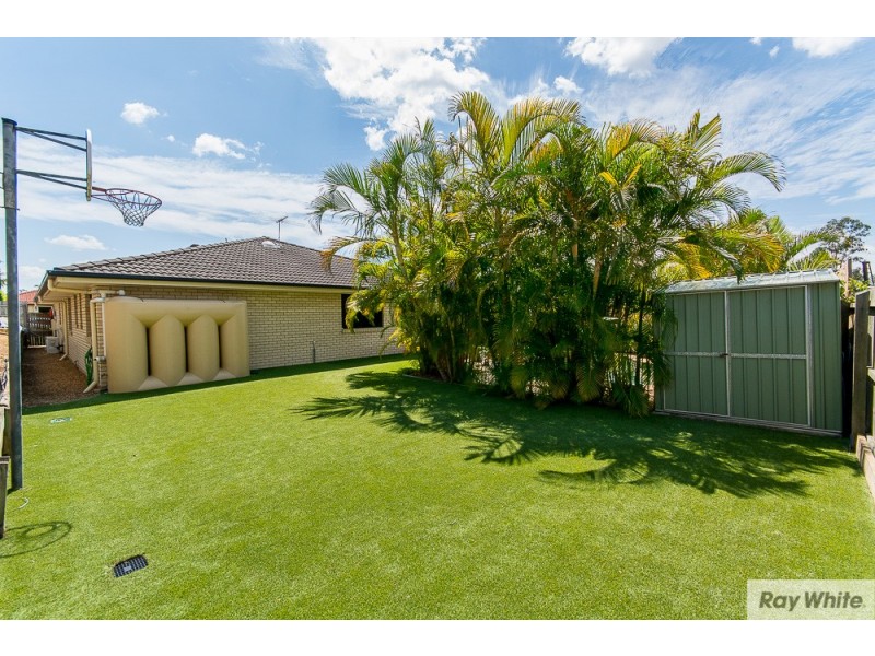 6 Tayla Close, Bridgeman Downs QLD 4035