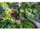 36 Allamanda Place, Chermside West QLD 4032