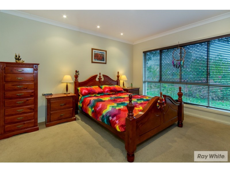 41 Ray Street, Carseldine QLD 4034