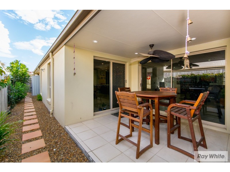 41 Ray Street, Carseldine QLD 4034