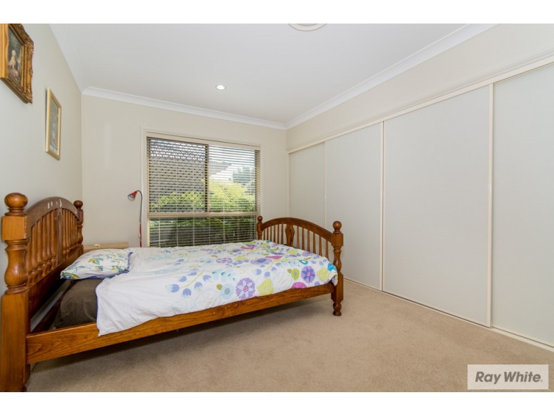 41 Ray Street, Carseldine QLD 4034