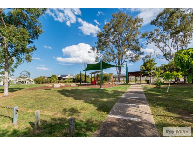 41 Ray Street, Carseldine QLD 4034