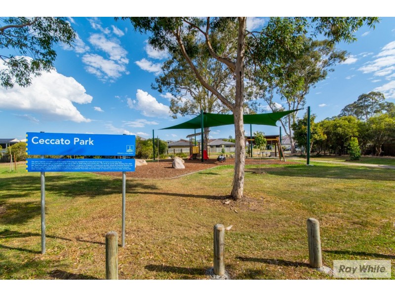 41 Ray Street, Carseldine QLD 4034