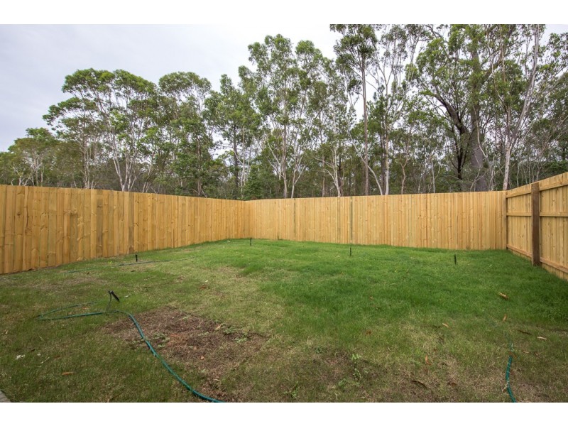 81 Jones Street, Rothwell QLD 4022