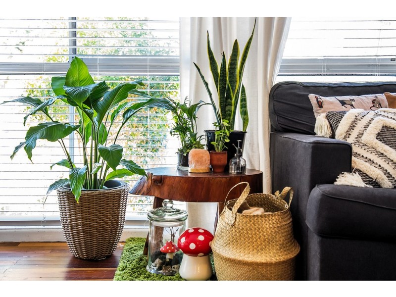 11 Annandale Street, Keperra QLD 4054