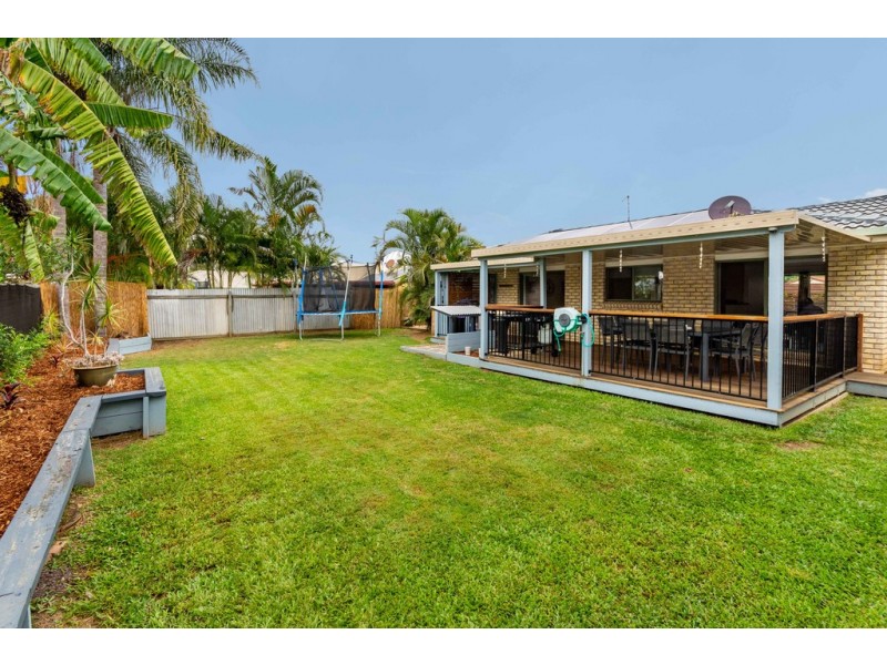 6 Whimbrel Court, Bellmere QLD 4510